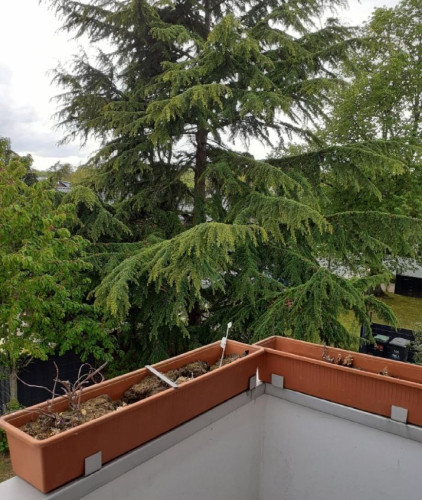 4 Rooms apartment in Braunschweig Close to Airport, DLR and VW