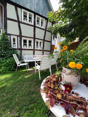 Frisch renovierte Wohnung mit separatem Eingang im Herzen Schötmars - Gallery - 9