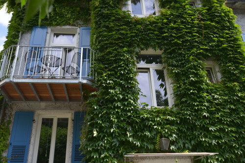 Living in the middle of the Martinsviertel