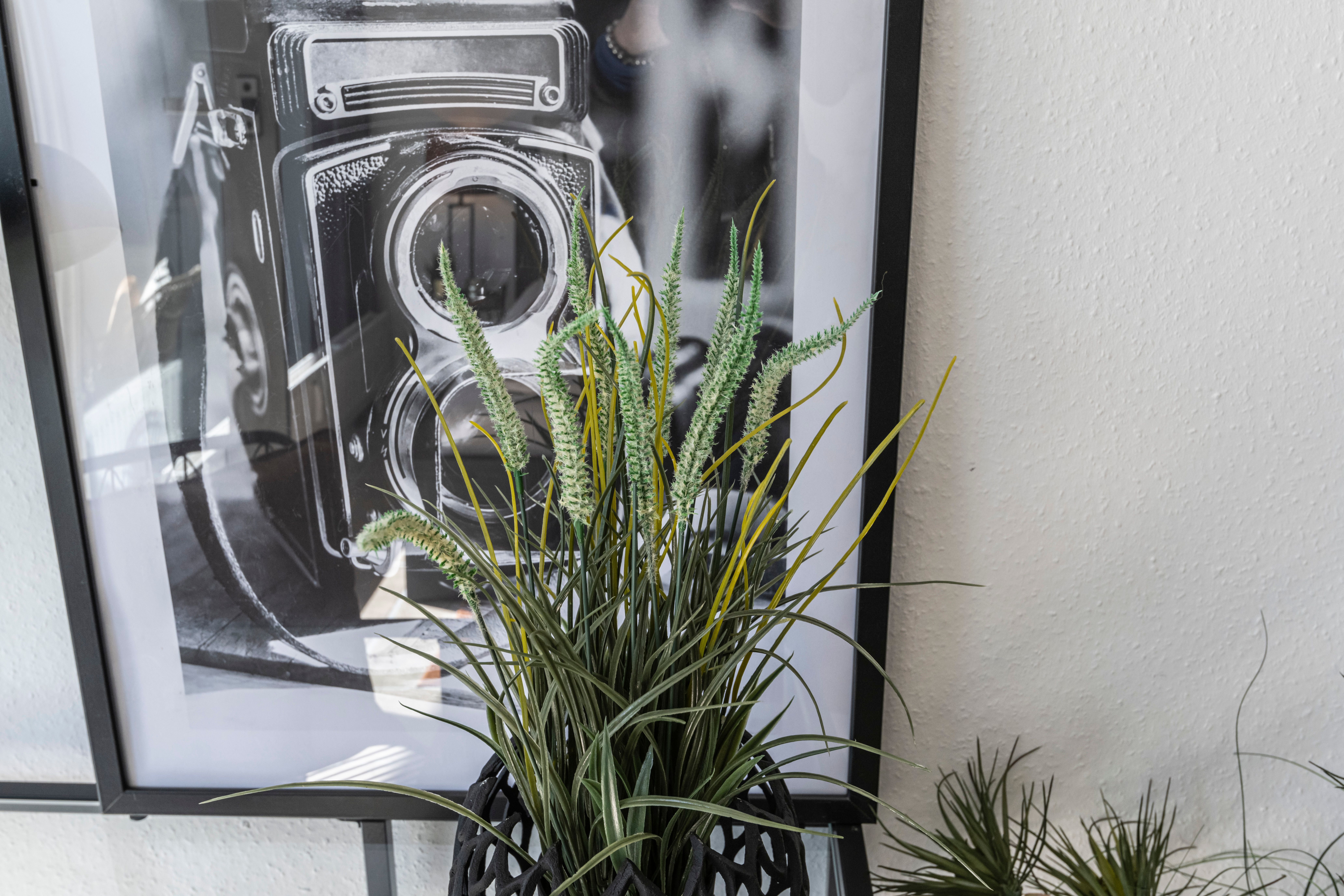 Stilvolles Apartment Für Ihre Beste Erholung - MG-Zentral - stilvolles Apartment für Ihre beste Erholung - MG-Zentral - Gallery - 21