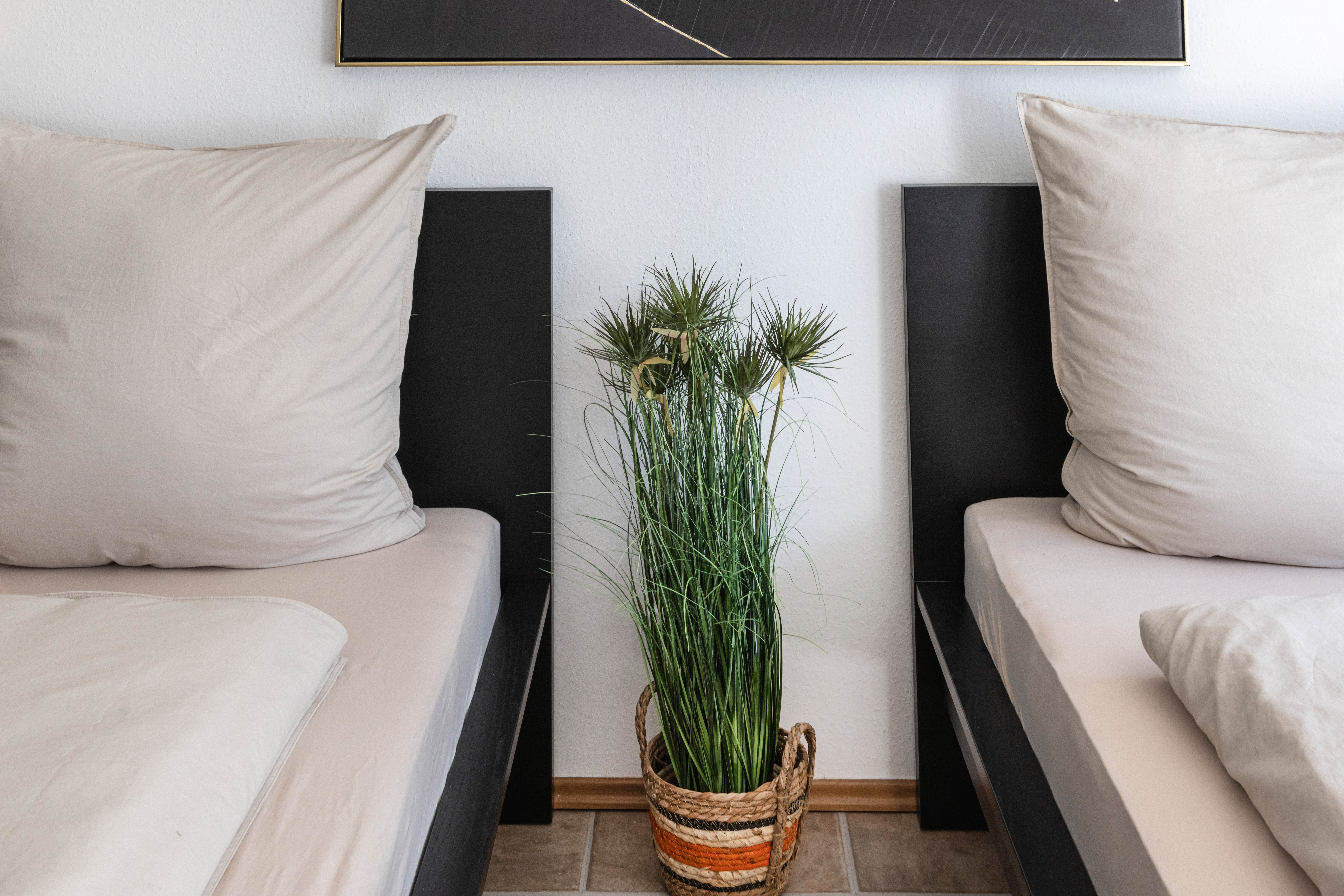 Stilvolles Apartment Für Ihre Beste Erholung - MG-Zentral - stilvolles Apartment für Ihre beste Erholung - MG-Zentral - Gallery - 13