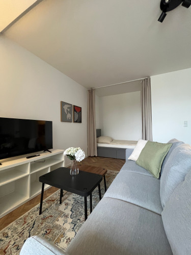 Freshly renovated 35m² apartments