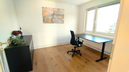 Cozy and lovely flat near a lake - Gallery - 16
