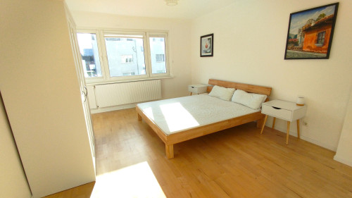 Cozy and lovely flat near a lake - Gallery - 18