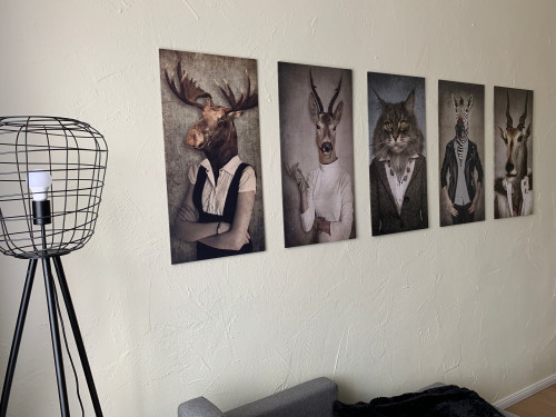 Gorgeous and charming loft (Cottbus) - Gallery - 19