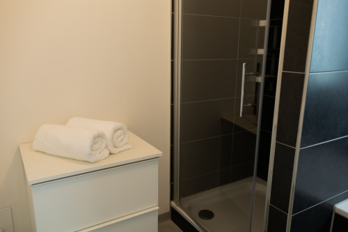 Luxury apartment - garden, kitchen & parking - Gallery - 7