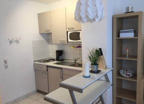 Lovingly furnished apartment in the heart of Mainz