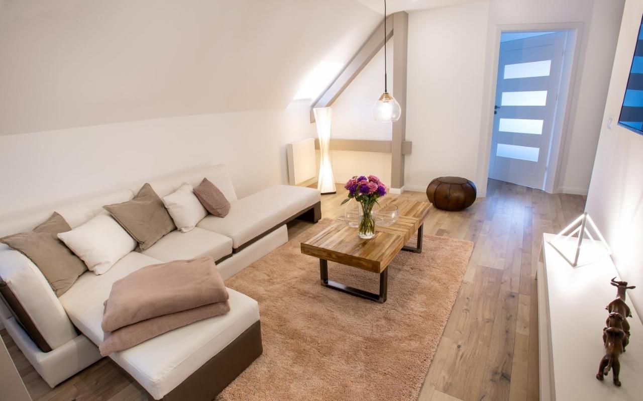 Beautiful Flat Close To City Center (Dresden) - 2