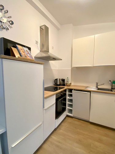 Modern and cozy flat, Bad Nauheim, old town  - Gallery -  5