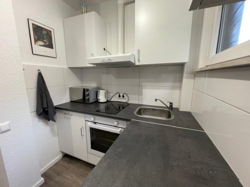 Nice, cozy apartment