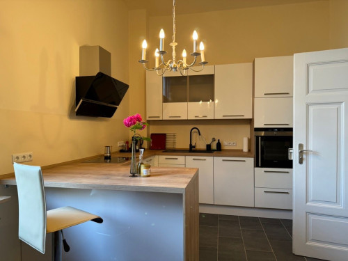 Lovingly exclusively furnished, spacious Art Nouveau apartment in Bayreuth - Gallery - 17