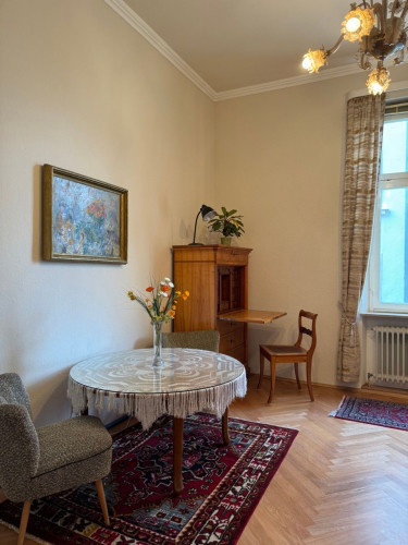 Lovingly exclusively furnished, spacious Art Nouveau apartment in Bayreuth - Gallery - 7