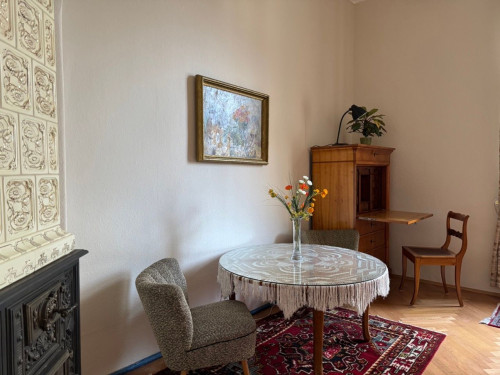 Lovingly exclusively furnished, spacious Art Nouveau apartment in Bayreuth - Gallery - 8