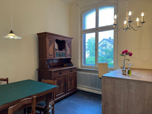 Lovingly exclusively furnished, spacious Art Nouveau apartment in Bayreuth - Gallery - 15