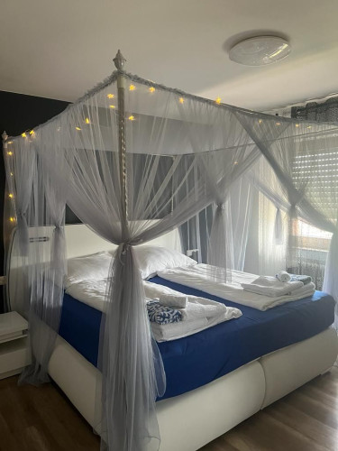 Pretty and cute suite