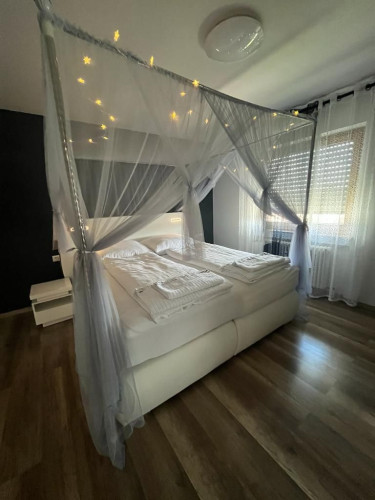 Pretty and cute suite