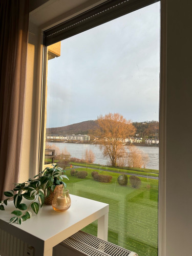 Dream apartment with panoramic view directly on the Rhine in Bonn-Mehlem