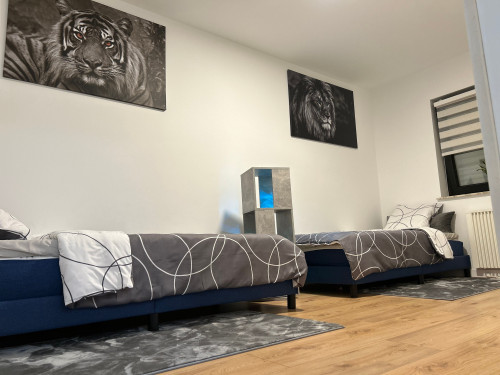 Amazing home in Trier - Gallery - 18