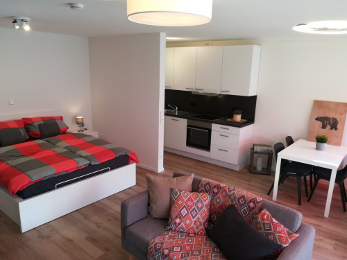 Modern furnished + sunny flat in 70825 Korntal (40sqm)