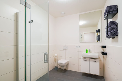 New, comfortable 1-room flat, fully equipped - Bad Nauheim