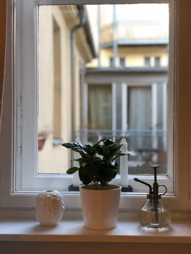 1 room apartment in the heart of Potsdam's historic Old Town - Gallery - 6