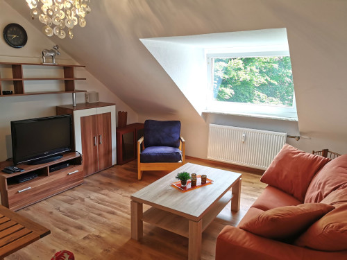 Great and spacious home in vibrant neighbourhood, Troisdorf - Gallery - 13