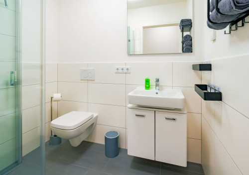 New, cosy 2-room flat, fully furnished - Bad Nauheim