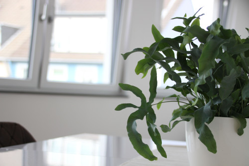 Nice & new apartment in Hilden - Gallery - 9