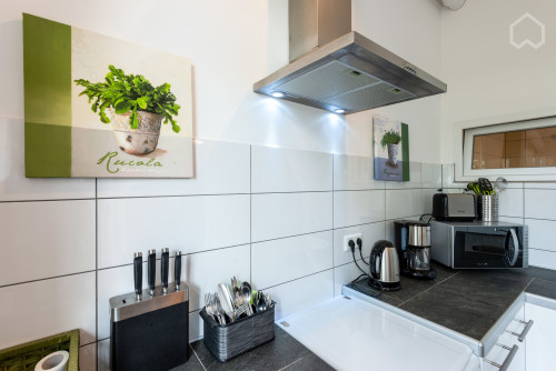 Fashionable apartment in Krefeld