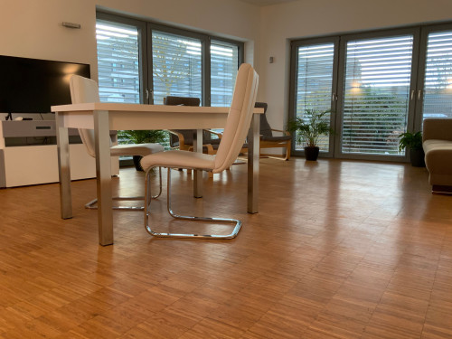 Bright loft in low-energy house in Erlangen - Gallery - 20