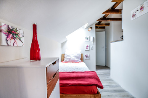 Modern and spacious apartment in Siegburg