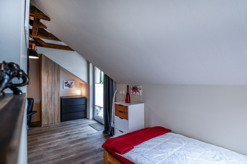 Modern and spacious apartment in Siegburg
