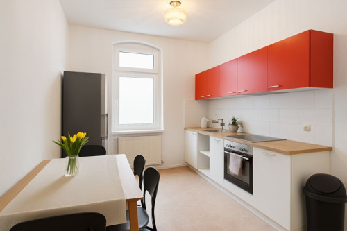 Nice and cozy flat in Delitzsch