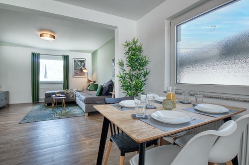 Business Apt l Airport/Fair l 4 Guests – ZachaStay
