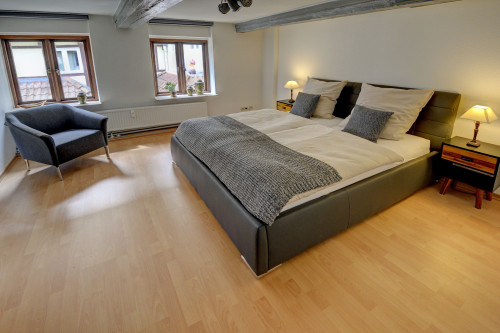 fewo1846 - Alte Kaffeerösterei / Charming, centrally located 2-room apartment - Gallery - 8