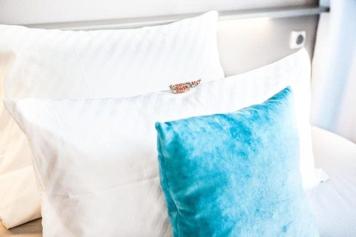 Modern studio with cleaning service in Friedberg