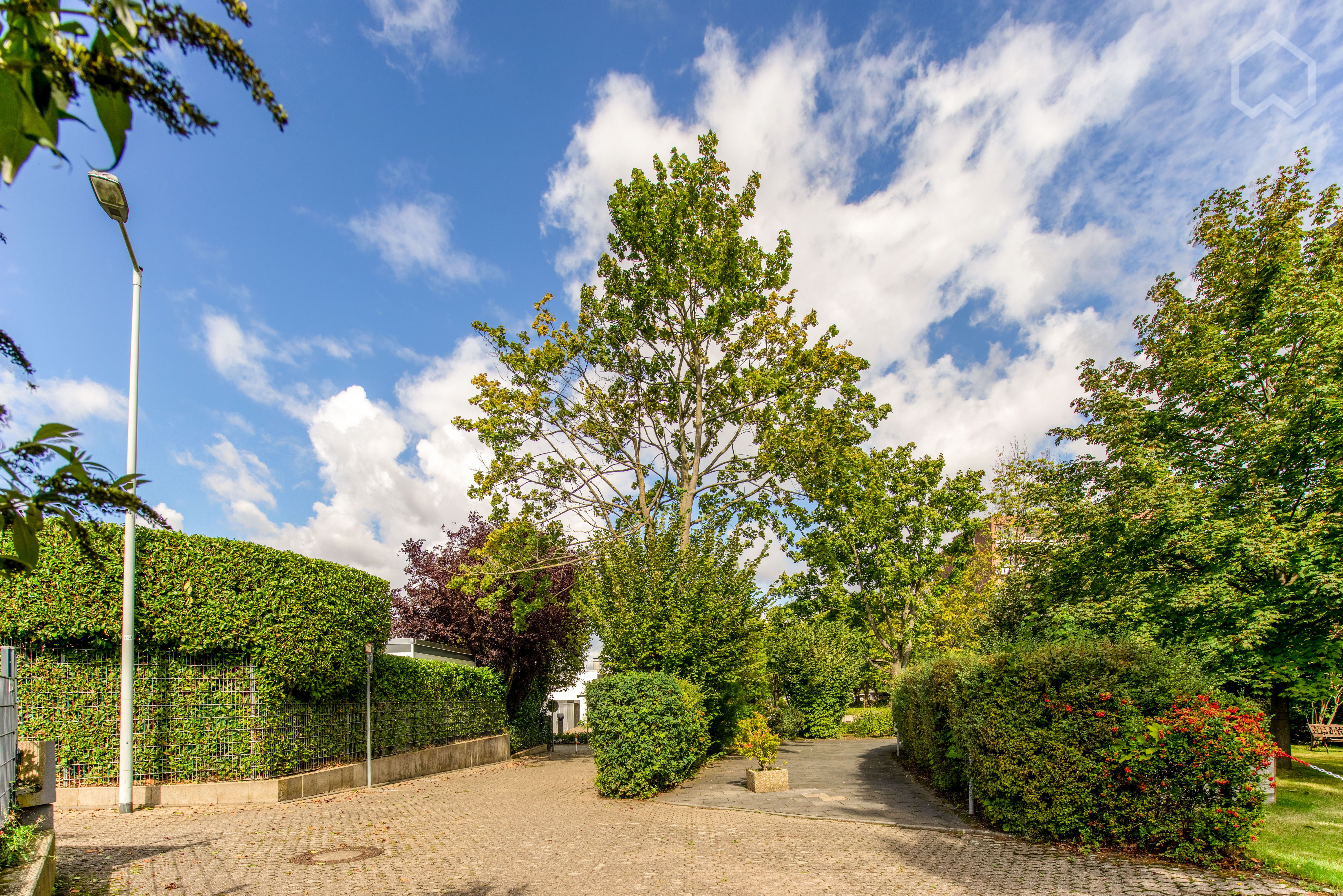 Amazing Studio In Frechen - 3