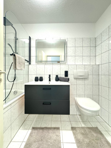 2-room business apartment with S-Bahn connection