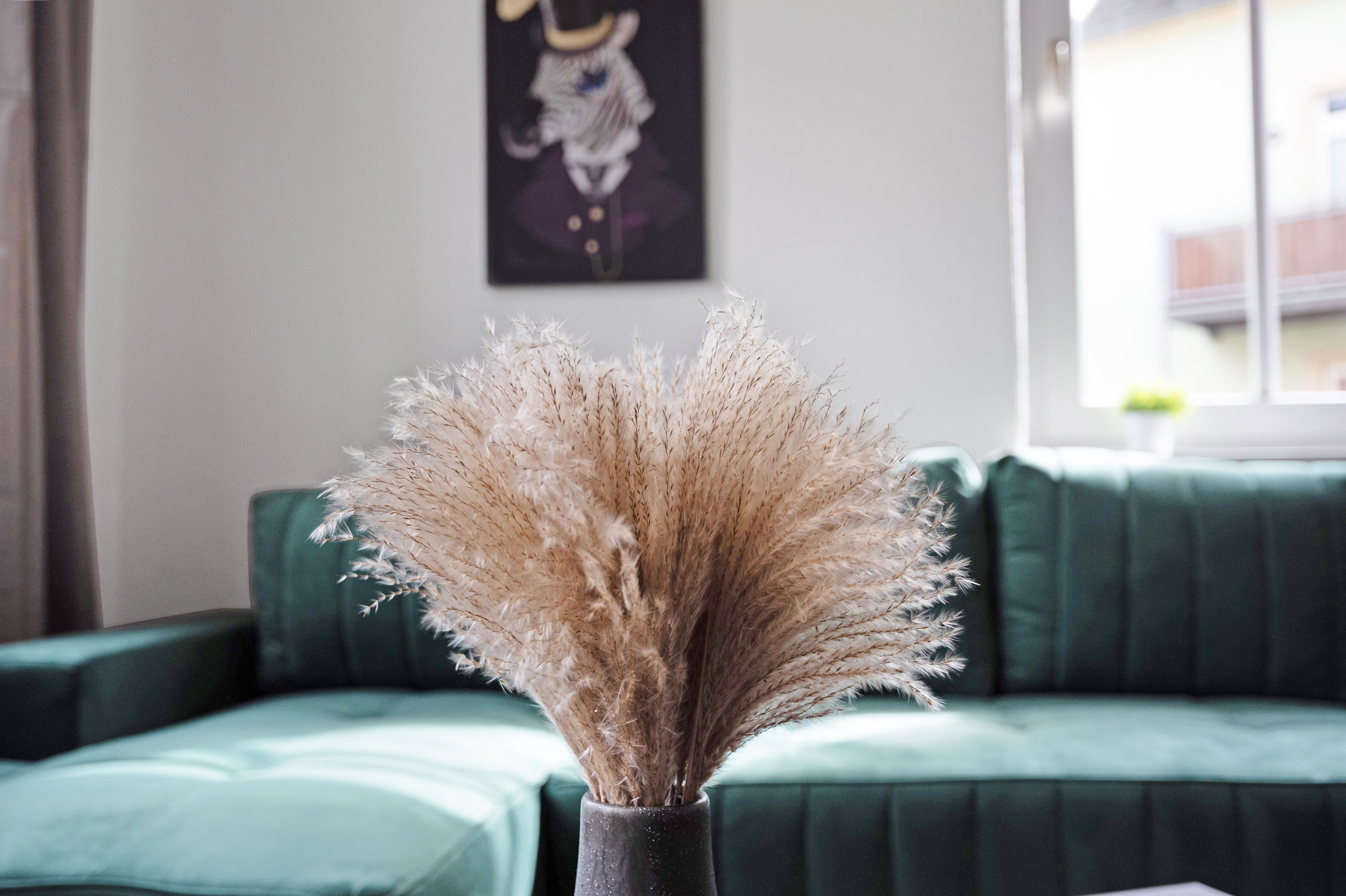 UNIQUE - Comfortable Feel-Good Home In Freital - UNIQUE - Comfortable feel-good home in Freital - Gallery - 10