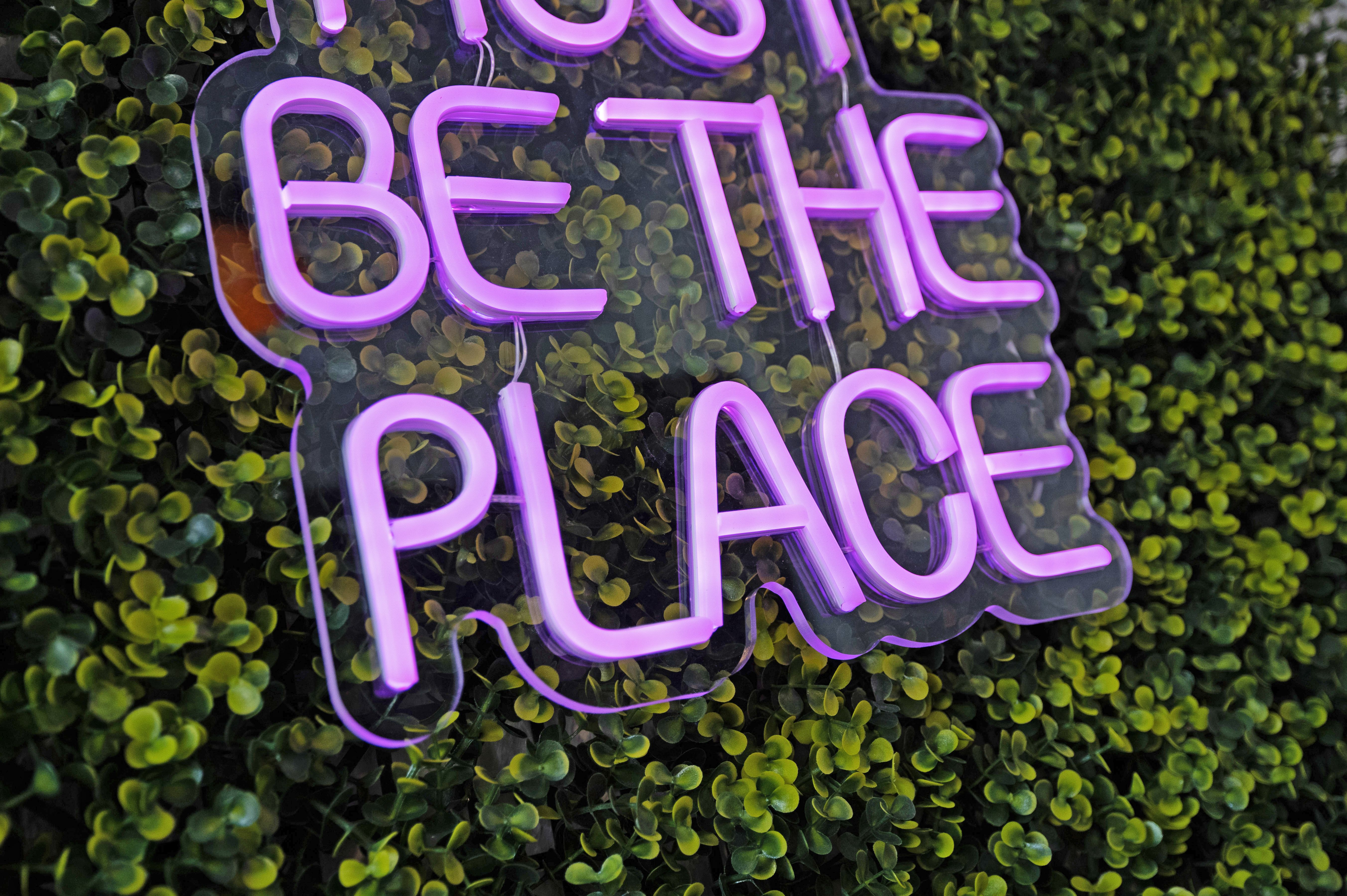 UNIQUE - Comfortable Feel-Good Home In Freital - UNIQUE - Comfortable feel-good home in Freital - Gallery - 14