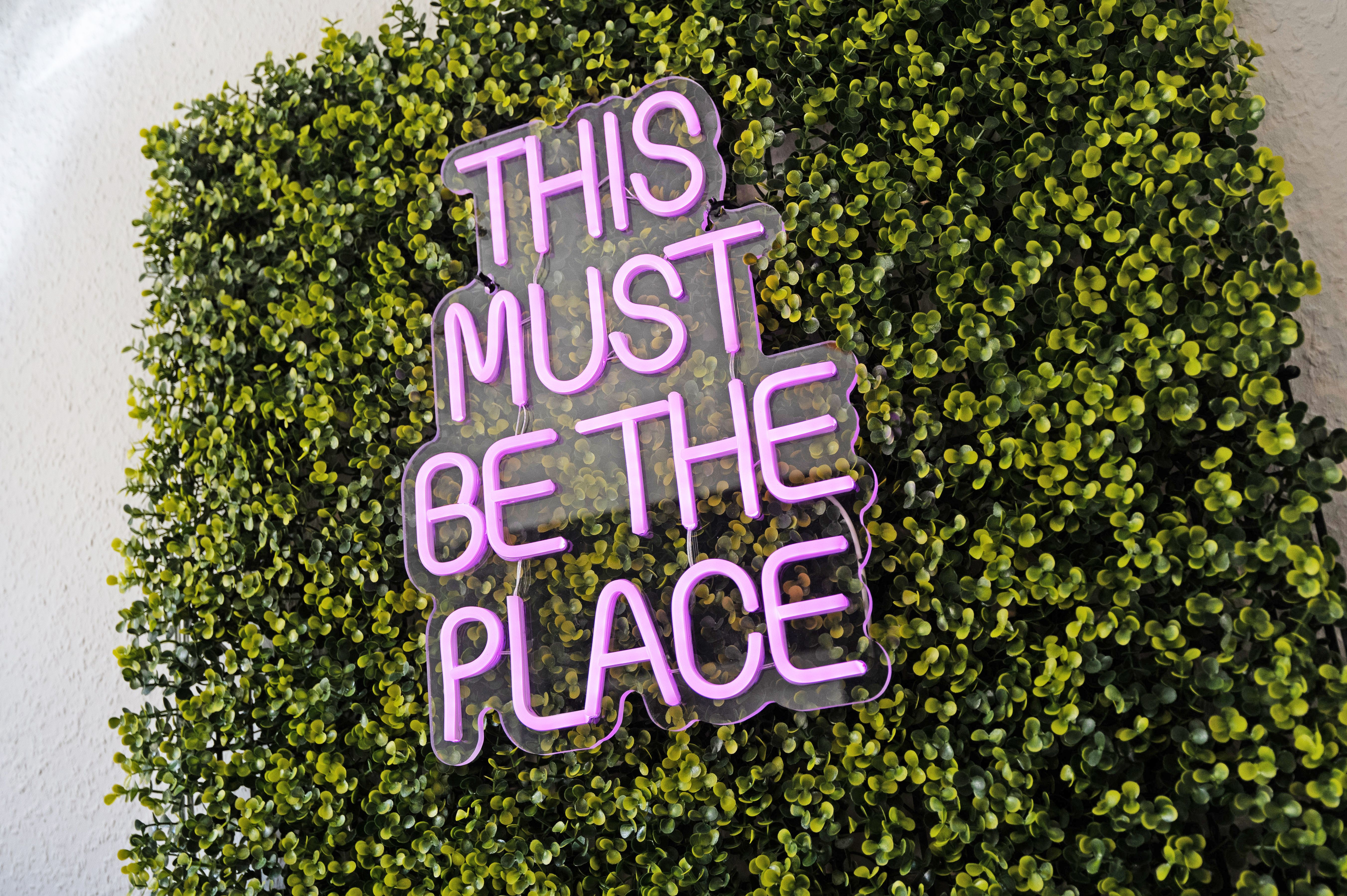 UNIQUE - Comfortable Feel-Good Home In Freital - UNIQUE - Comfortable feel-good home in Freital - Gallery - 32