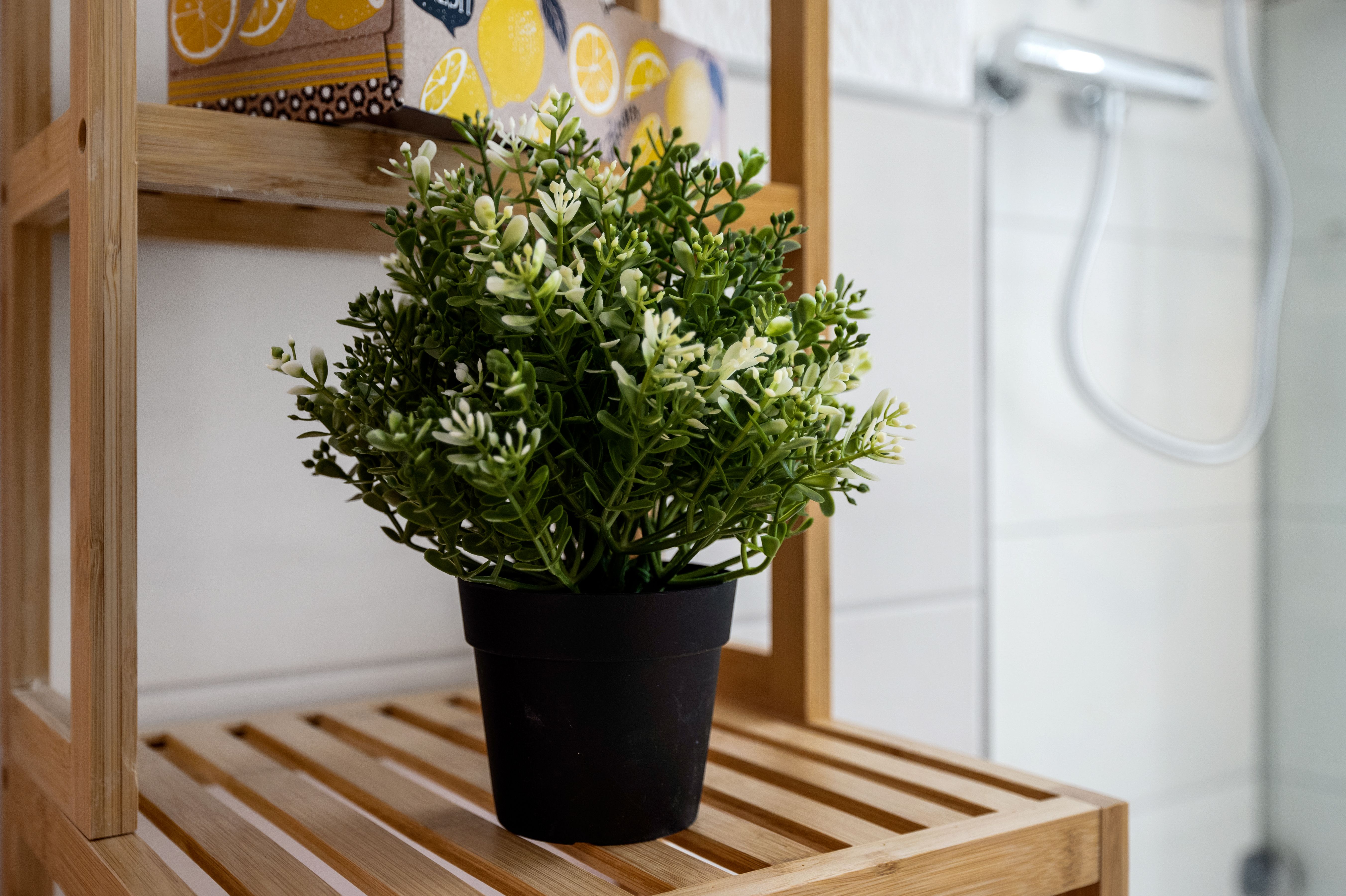 UNIQUE - Comfortable Feel-Good Home In Pirna - UNIQUE - Comfortable feel-good home in Pirna - Gallery - 7