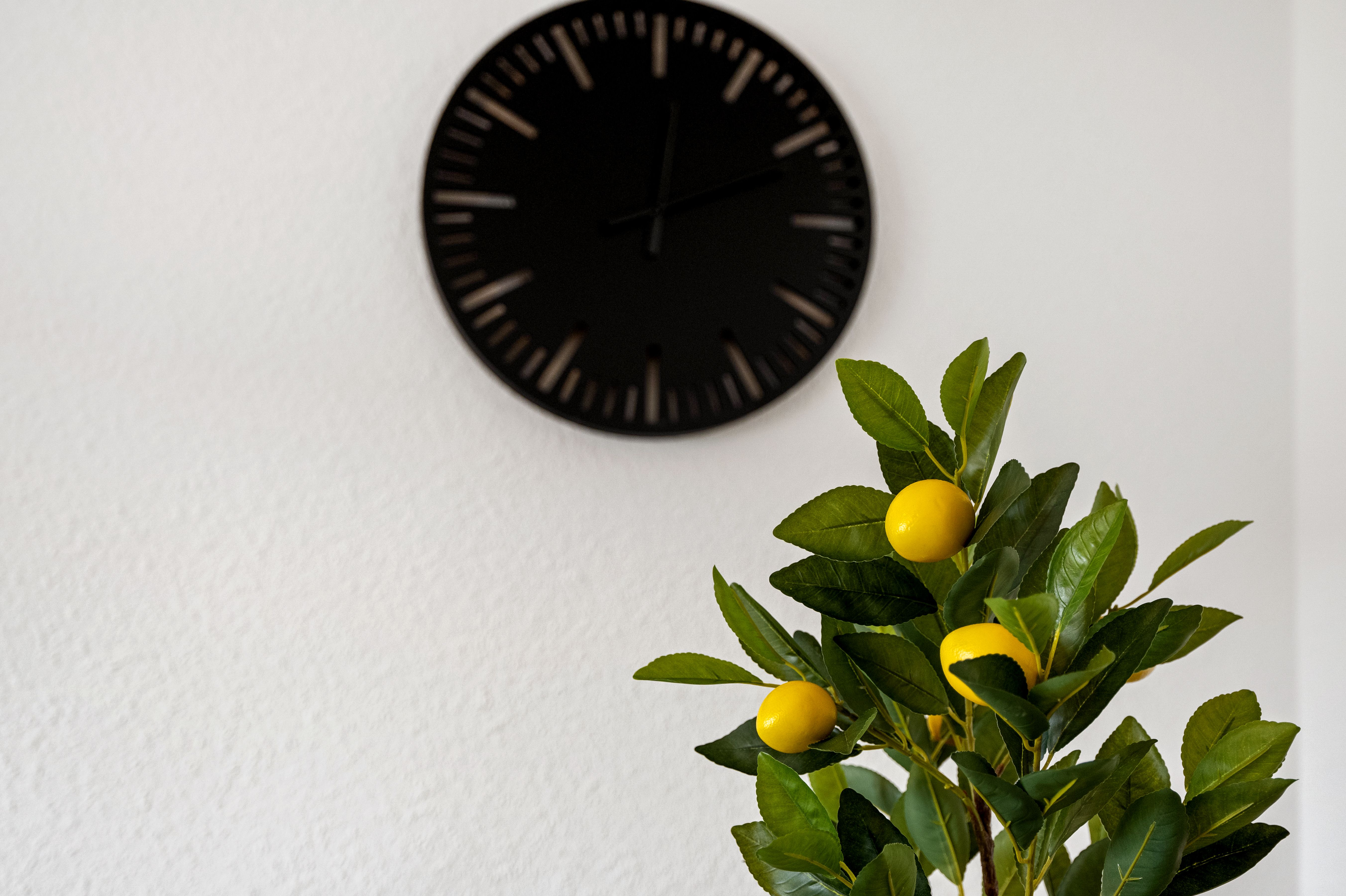 UNIQUE - Comfortable Feel-Good Home In Pirna - UNIQUE - Comfortable feel-good home in Pirna - Gallery - 19