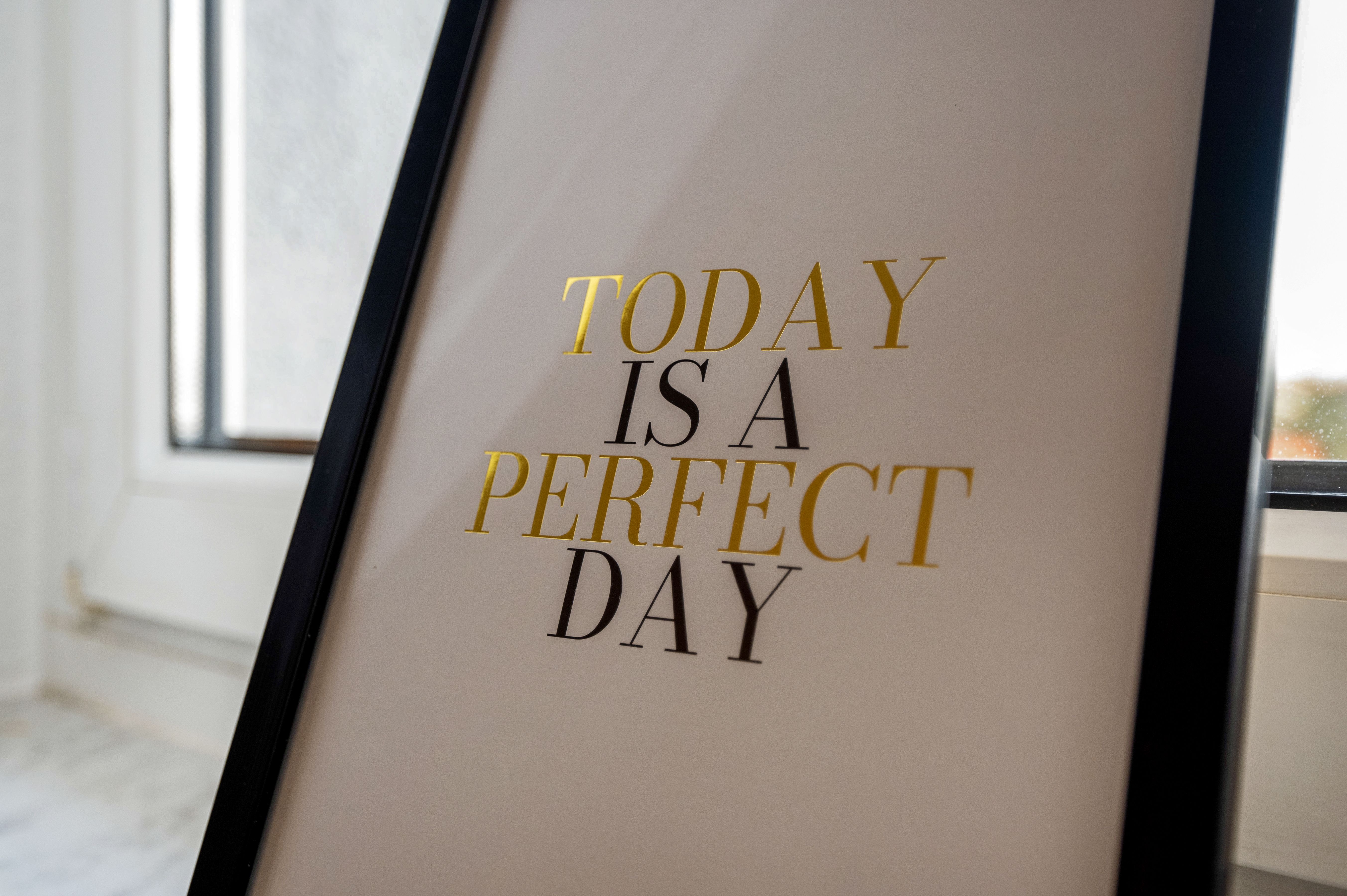  UNIQUE - Comfortable Feel-Good Home In Pirna  -  UNIQUE - Comfortable feel-good home in Pirna  - Gallery -  5