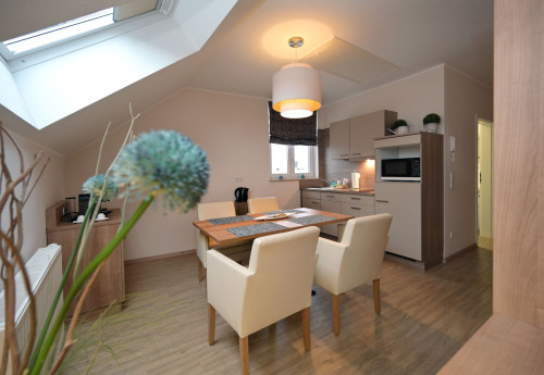 Spacious apartment in the center of Speyer