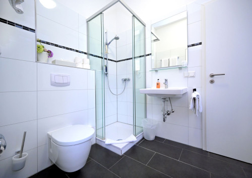 Spacious apartment in the center of Speyer - Gallery - 9