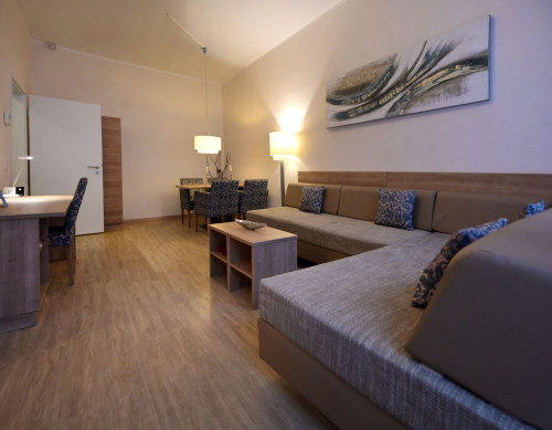 Spacious apartment in the center of Speyer