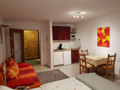 Neat flat (Freiburg im Breisgau)