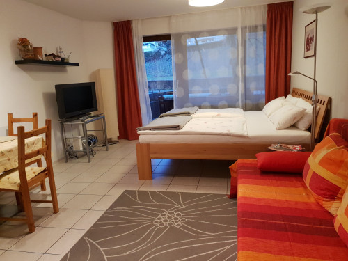 Neat flat (Freiburg im Breisgau)