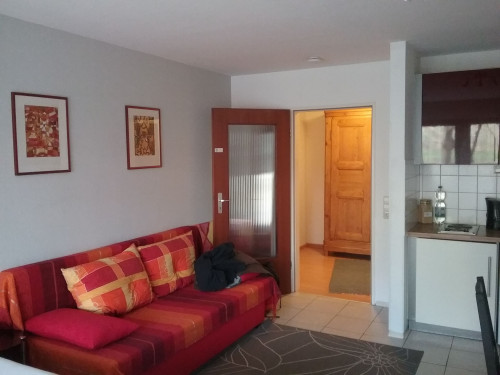 Neat flat (Freiburg im Breisgau) - Gallery - 8